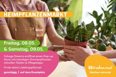 Heimpflanzenmarkt mit Foliage Dreams
